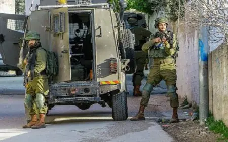 الاحتلال يعتقل فلسطيني بعد استهداف مركبته بالنيران