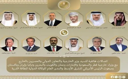 جهود وزير الخارجية في خفض التصعيد بالمنطقة من خلال اتصالات هاتفية مكثفة