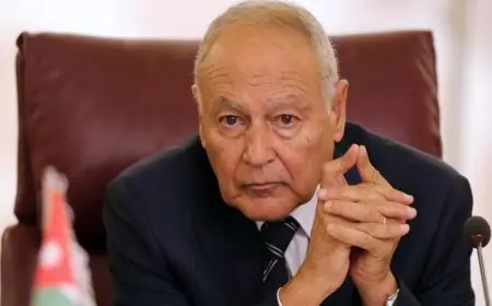 أبو الغيط يندد بالعدوان الإيراني المتواصل على المنشآت المدنية الحيوية في الكويت