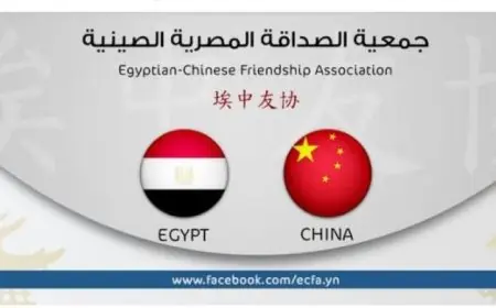 جمعية الصداقة المصرية الصينية تعزز جهود الصين وباكستان لوقف النزاع في المنطقة
