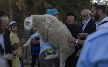 سبعة محاولات لتهريب قرابين إلى المسجد الأقصى خلال الفصح اليهودي 2023