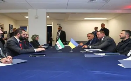 الرئيس الأوكراني يؤكد استعداد بلاده للتعاون مع سوريا من أجل تعزيز التنمية لشعبي البلدين