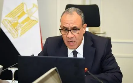وزير الخارجية يلتقي بالجالية المصرية في الأردن خلال الاجتماع الافتراضي