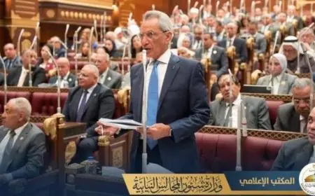 مجلس الشيوخ يعتمد قانون حماية المنافسة ومكافحة الاحتكار لتعزيز الاقتصاد الوطني