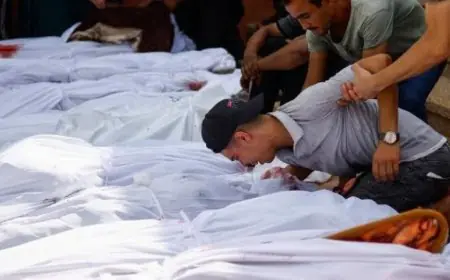 استشهاد 12 فلسطينياً في غزة جراء نيران الاحتلال منذ فجر اليوم