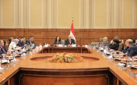 مرسي تستعرض استعدادات وزارة لمواجهة التحديات الراهنة في مجلس الشيوخ