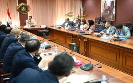 وزير الصناعة يجتمع مع وفد غرفة التجارة الأمريكية في القاهرة لتعزيز التعاون الصناعي والتجاري بين مصر والولايات المتحدة