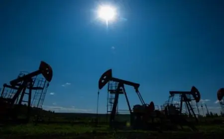 إلغاء كارت الجوازات الورقي للركاب المصريين بمطار القاهرة بدءا من السبت المقبل وفقاً للطيران المدني