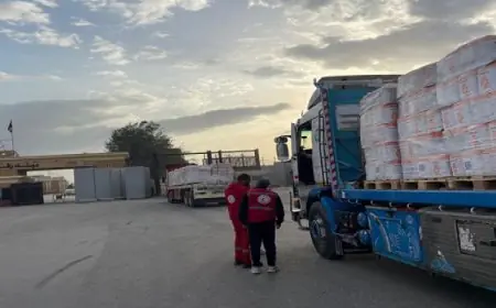 الهلال الأحمر المصري يوزع 44 ألف سلة غذائية وأكثر من 177 ألف قطعة ملابس شتوية في قافلة زاد العزة 172