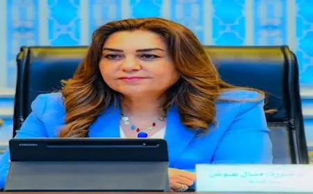 التنمية المحلية تعلن عن إزالة فورية لأي مخالفات بلا تهاون في تطبيق القانون