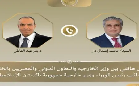 وزيرا خارجية مصر وباكستان يتناولان مستجدات الوضع الإقليمي وسبل خفض التصعيد