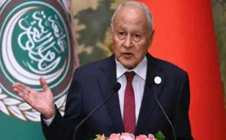 أبو الغيط يندد بالاعتداءات الإسرائيلية على لبنان ويؤكد سعي إسرائيل لتقويض وقف إطلاق النار