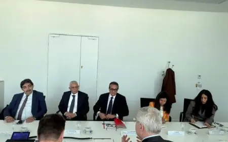 وزير الصحة يناقش مع نائب رئيس شركة سيرفيه تطوير صناعة أدوية الأورام والعلاج في البلاد