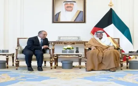 مصر تندد بالاعتداءات الإسرائيلية على لبنان وتدعو المجتمع الدولي للتدخل العاجل