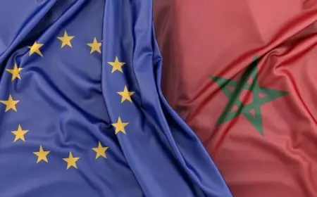 المغرب والاتحاد الأوروبي يعززان التعاون الاستراتيجي في المجال الرقمي من خلال حوار جديد