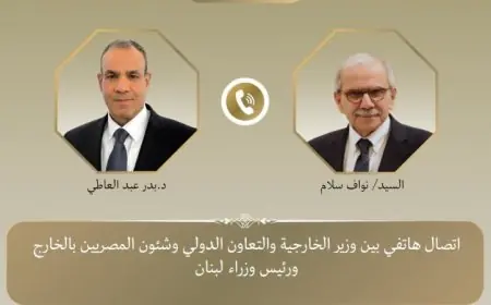 وزير الخارجية المصري يؤكد عدم المساس بسيادة لبنان ووحدته وسلامة أراضيه