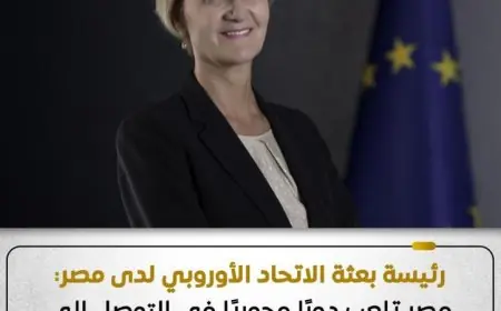 رئيسة بعثة الاتحاد الأوروبي تثني على جهود مصر الرائدة في معالجة الأزمات الإقليمية