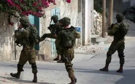 الاحتلال يقبض على طفل بعد اعتداء عليه في بيت فوريك شرق نابلس