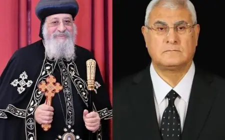 المستشار عدلي منصور يقدم التهاني الهاتفية للبابا تواضروس بمناسبة عيد القيامة المجيد