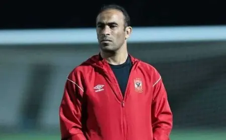 لجنة الحكام تتقدم بشكوى ضد سيد عبد الحفيظ إلى لجنة الانضباط في اتحاد الكرة بعد تقرير الحكم وفا