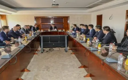 وزير الزراعة يستقبل مستثمرين صينيين لبحث فرص التعاون في التصنيع الزراعي والتكنولوجيا المتطورة