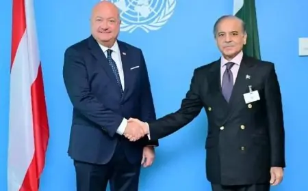 باكستان والنمسا تؤكدان ضرورة التزام الأطراف بوقف إطلاق النار للحفاظ على السلام