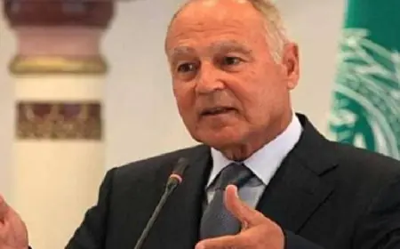 أبو الغيط يعبر عن دعم الجامعة العربية للبنان ويستنكر العدوان الإسرائيلي