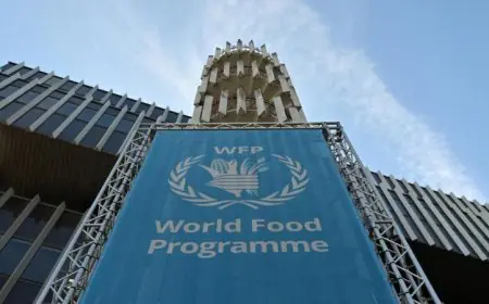برنامج الأغذية العالمي ينبه إلى أزمة غذائية وشيكة تهدد لبنان