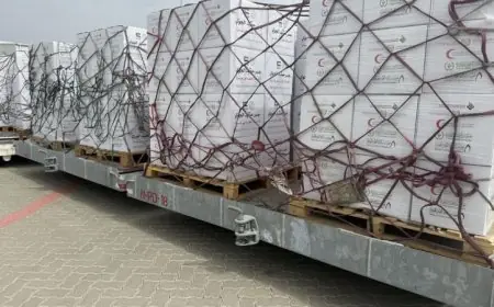 جسر حميد الجوي يساهم في إغاثة غزة بـ100 طن من المساعدات الغذائية بدعم إماراتي