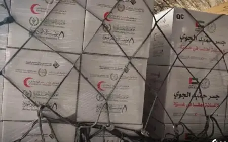 مطار العريش يستقبل طائرة مساعدات إماراتية لنصرة غزة