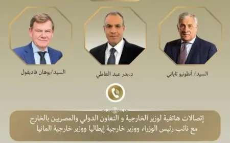 وزير الخارجية يناقش آخر تطورات الأوضاع في المنطقة مع نظيريه الألماني والإيطالي