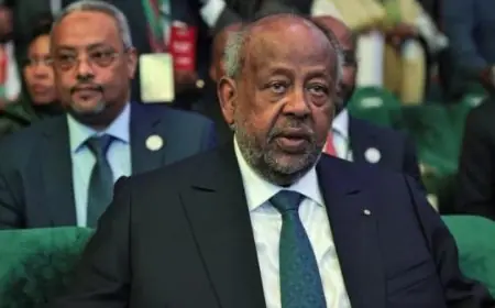 إسماعيل عمر جيله يحقق فوزاً ساحقاً بولاية سادسة في جيبوتي بنسبة 97.81%