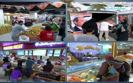 برن تستضيف جولة مشاورات سياسية مهمة بين مصر وسويسرا لتعزيز التعاون الدولي