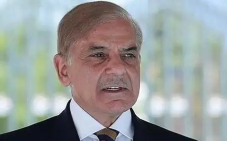 رئيس وزراء باكستان يجتمع مع الوفد الإيراني قبل بدء محادثات السلام مع الولايات المتحدة