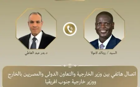وزير الخارجية يبحث مع نظيره الجنوب إفريقي تطورات الأوضاع في الشرق الأوسط