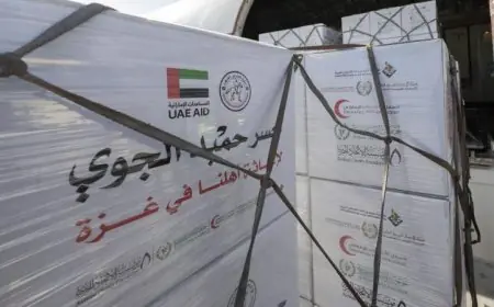 وصول طائرة مساعدات إماراتية إلى العريش محملة بـ100 طن لدعم غزة صور جديدة