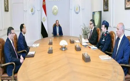 الرئيس السيسي يطالب بضبط أسعار السلع الغذائية وتعزيز الاكتفاء الذاتي في مصر