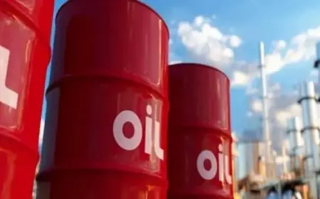 وزير المالية يكشف عن تحسن واضح في معدلات الدين وخدمته وآجاله خلال المرحلة القادمة