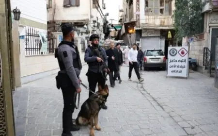 الداخلية السورية تكشف عن إحباط مخطط تخريبي في دمشق وتعتقل خلية مرتبطة بجهات أجنبية