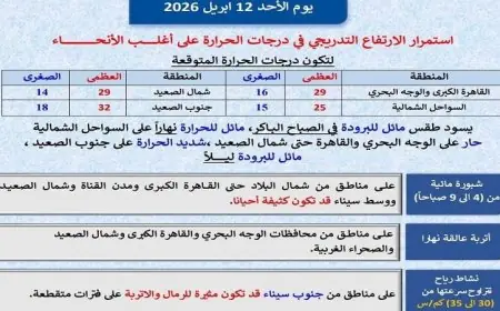 الأرصاد الجوية تكشف عن استمرار ارتفاع درجات الحرارة في القاهرة غدا مع وصول العظمى إلى 29 درجة