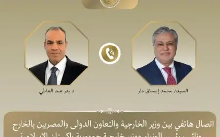 وزير الخارجية المصري ونظيره الباكستاني يناقشان التطورات الأخيرة في الوضع الإقليمي