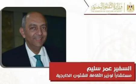السفير عمر سليم يتولى منصب مستشار وزير الثقافة للشئون الخارجية