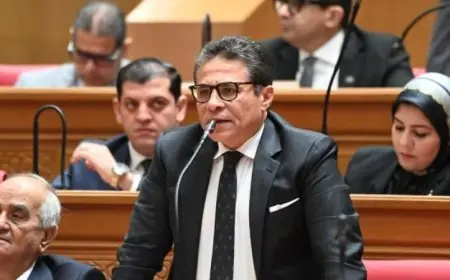 الخولي يؤكد أن توجيهات الرئيس حول قوانين الأسرة تعكس رؤية إصلاحية شاملة للتشريعات