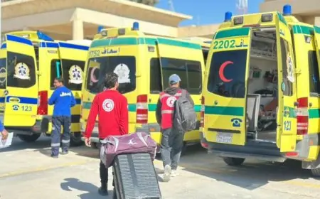 الهلال الأحمر يعزز الدعم الإنساني بإرسال أكثر من 155 ألف سلة غذائية ومواد إغاثية إلى قطاع غزة