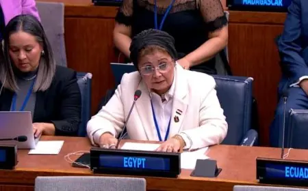 نائب وزير الصحة تقدم بيان مصر في لجنة السكان والتنمية بالأمم المتحدة