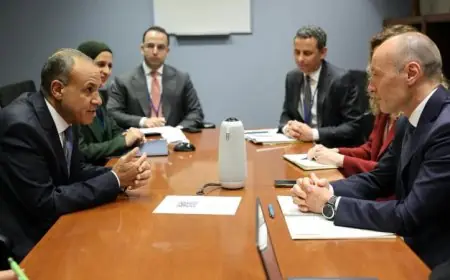 وزير الخارجية يناقش آفاق التعاون الثنائي مع وفد الوكالة الإيطالية للتعاون التنموي