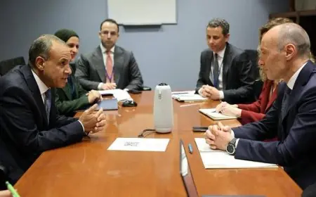 وزير الخارجية يناقش تعزيز التعاون مع وفد الوكالة الإيطالية للتعاون التنموي