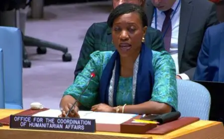 مسئولة أممية تطالب مجلس الأمن بالتدخل لإطلاق سراح موظفين محتجزين لدى الحوثيين