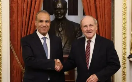 عبد العاطي يكشف عن جهود مصر الفعالة لخفض التصعيد وتحقيق السلام في المنطقة