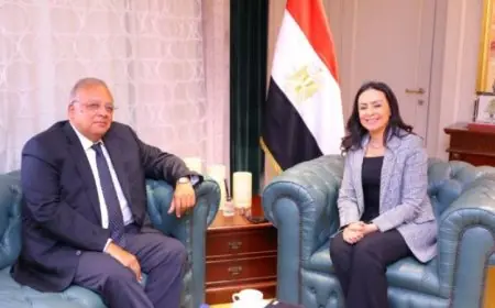 وزيرة التضامن تستعرض آفاق التعاون بين الوزارة والمجلس القومي لحقوق الإنسان